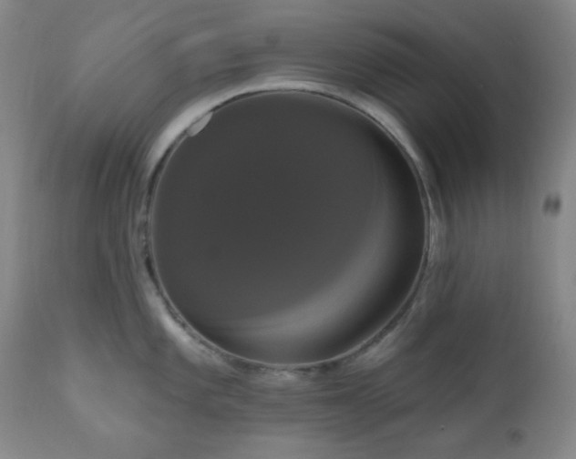 X0000111021101200906191646
