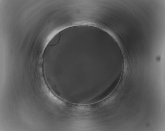 X0000111021102200906191646