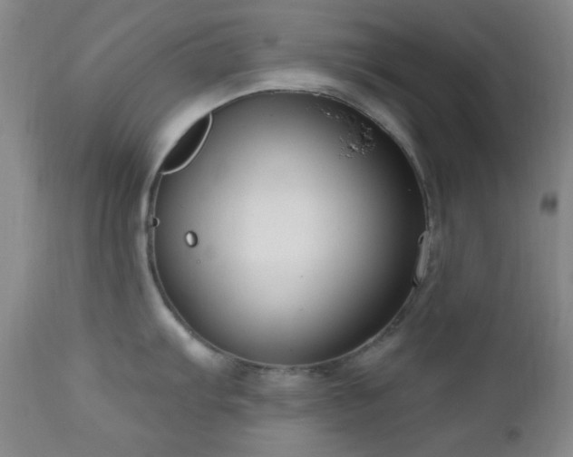 X0000111021103200906191646