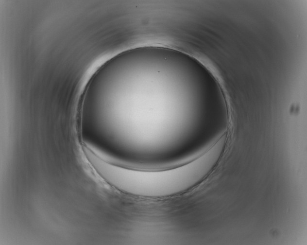 X0000111021104200906191646