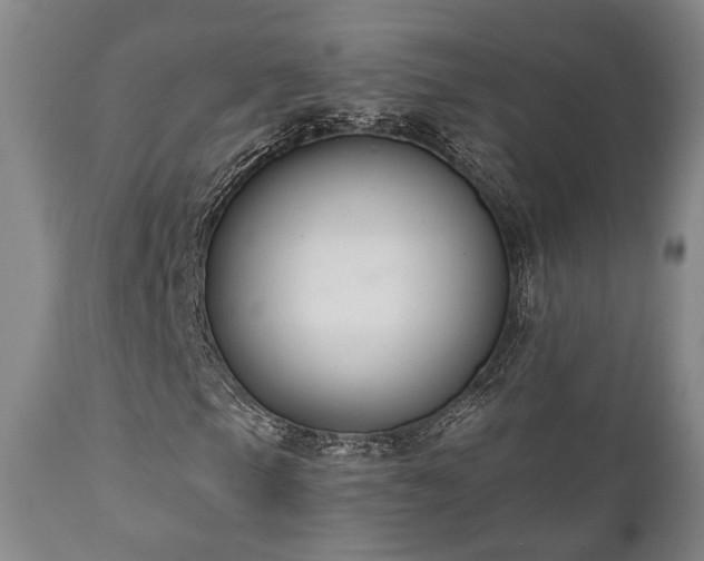 X0000111021105200906191645