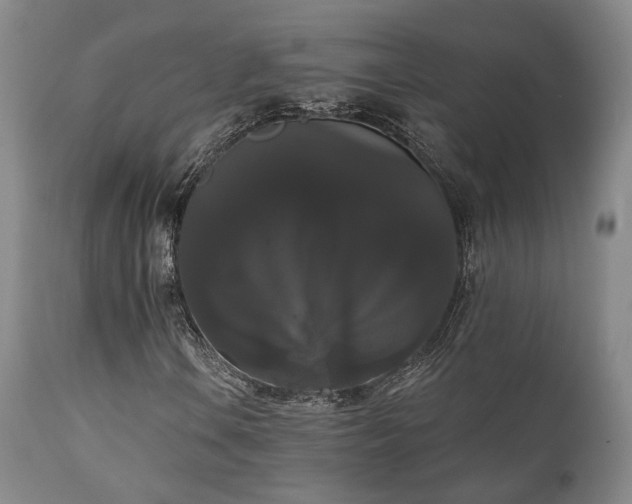 X0000111021106200906191645