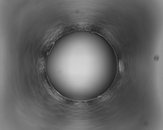 X0000111021107200906191645