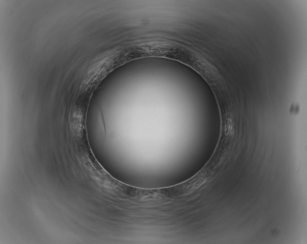 X0000111021108200906191645
