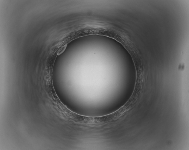 X0000111021109200906191645