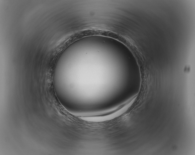 X0000111021110200906191645