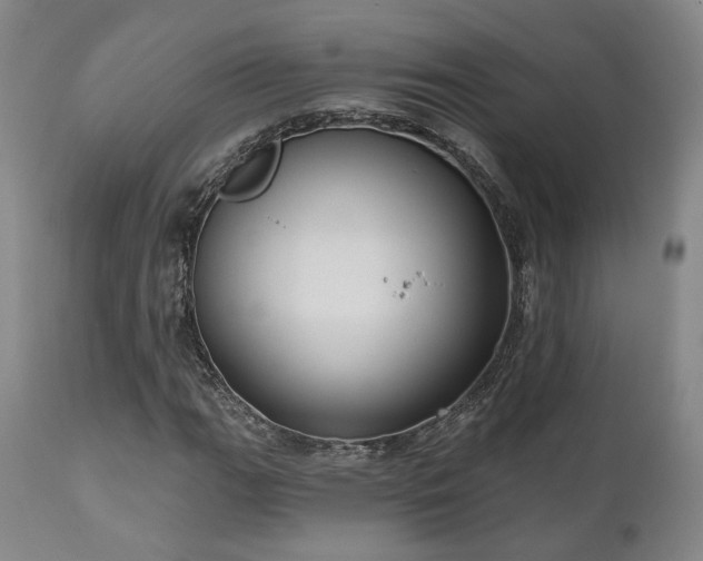 X0000111021111200906191645
