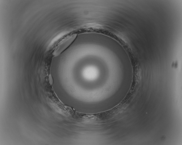 X0000111021112200906191645