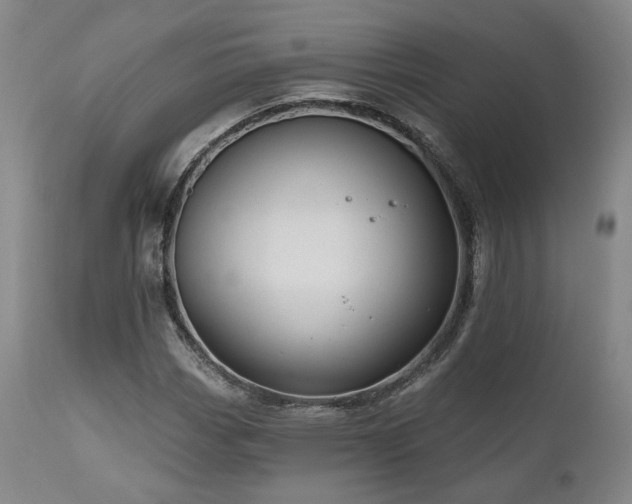 X0000111021113200906191645