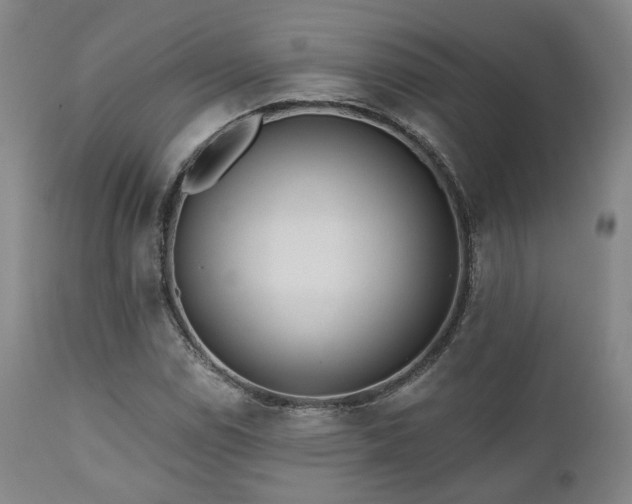 X0000111021114200906191645