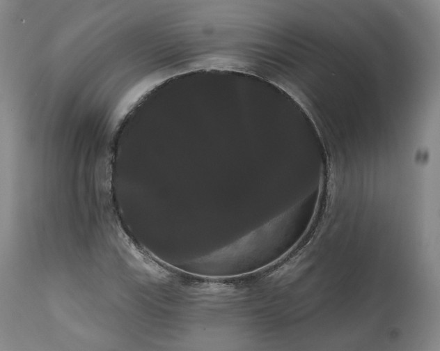 X0000111021115200906191645