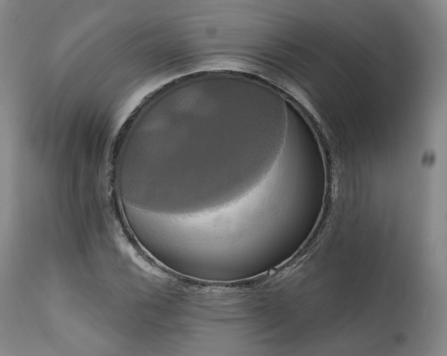 X0000111021116200906191645