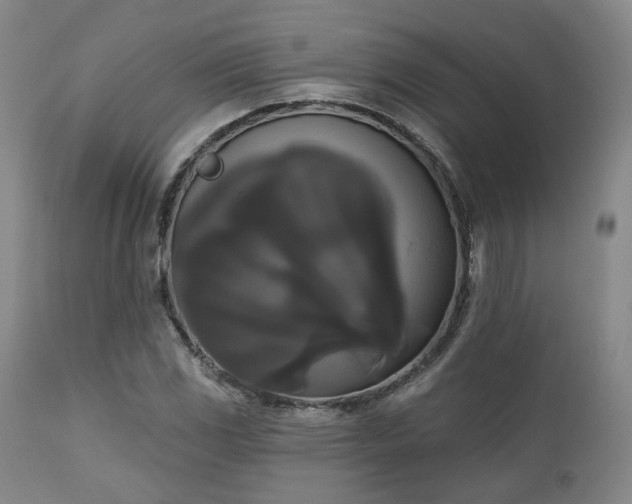 X0000111021117200906191645