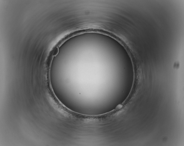 X0000111021118200906191645