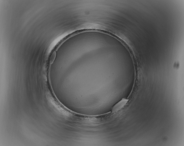 X0000111021120200906191646