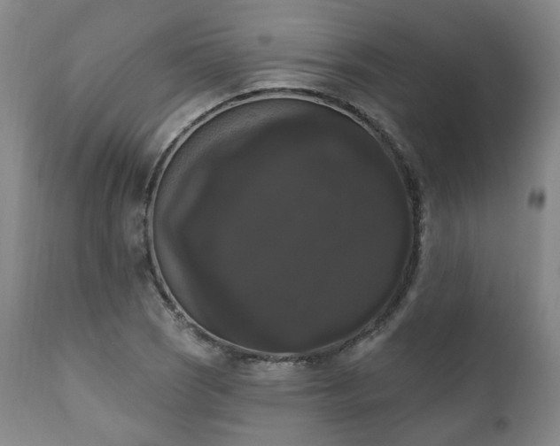 X0000111021121200906191646