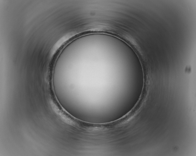 X0000111021122200906191646
