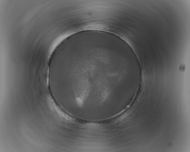 X0000111021123200906191646