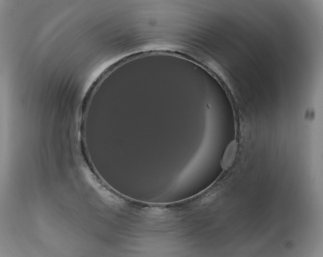 X0000111021124200906191646