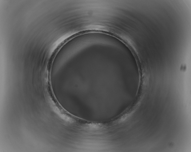 X0000111021125200906191646