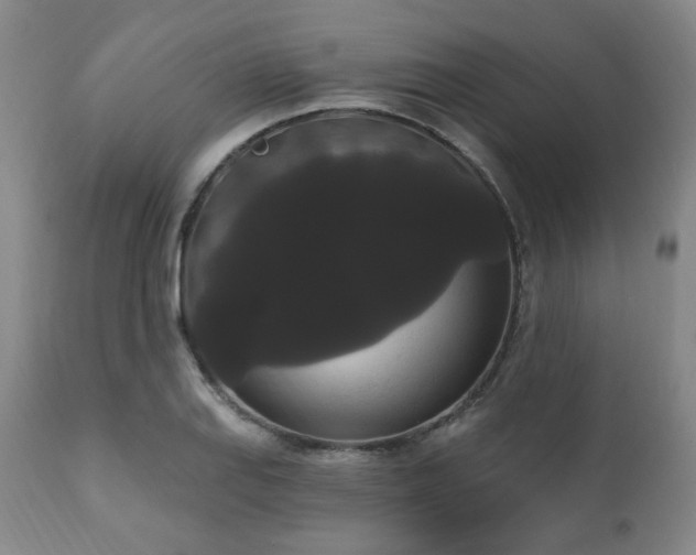 X0000111021127200906191646