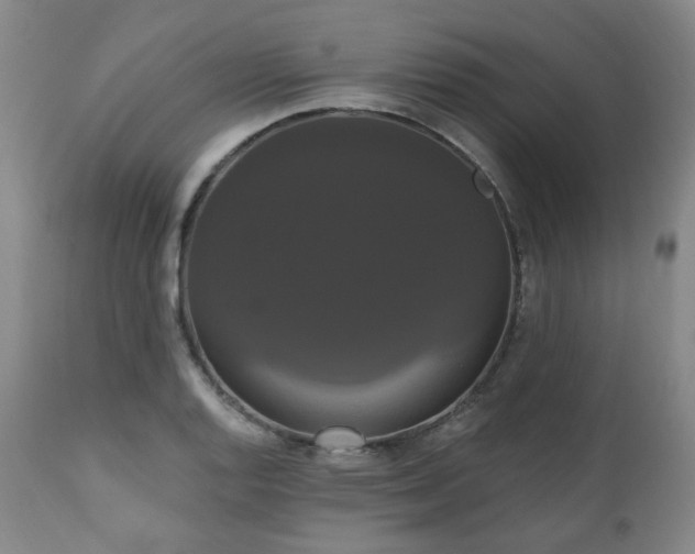 X0000111021128200906191646