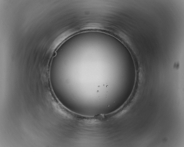 X0000111021129200906191646