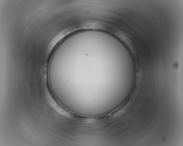 X0000111021130200906191646