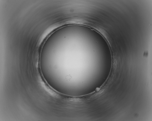 X0000111021131200906191646