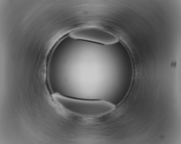 X0000111021132200906191646