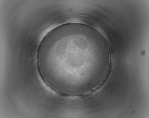 X0000111021133200906191646
