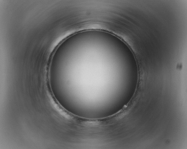 X0000111021134200906191646
