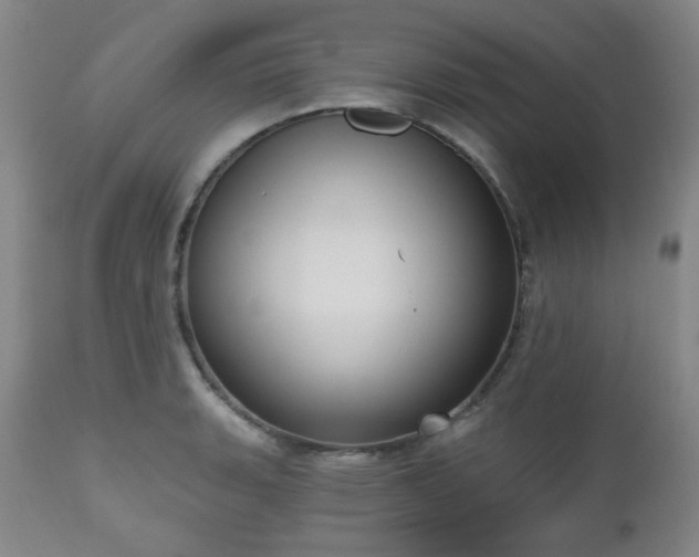X0000111021135200906191646