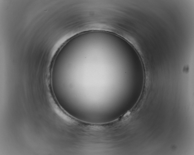 X0000111021136200906191646
