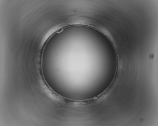 X0000111021138200906191646