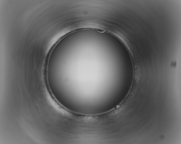 X0000111021139200906191646