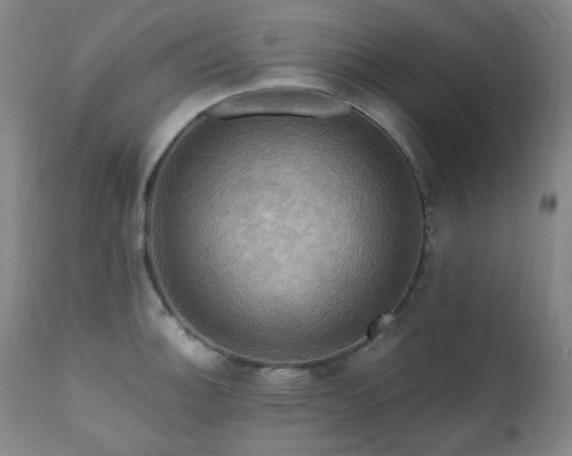 X0000111021140200906191646