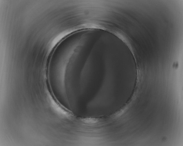 X0000111021141200906191646