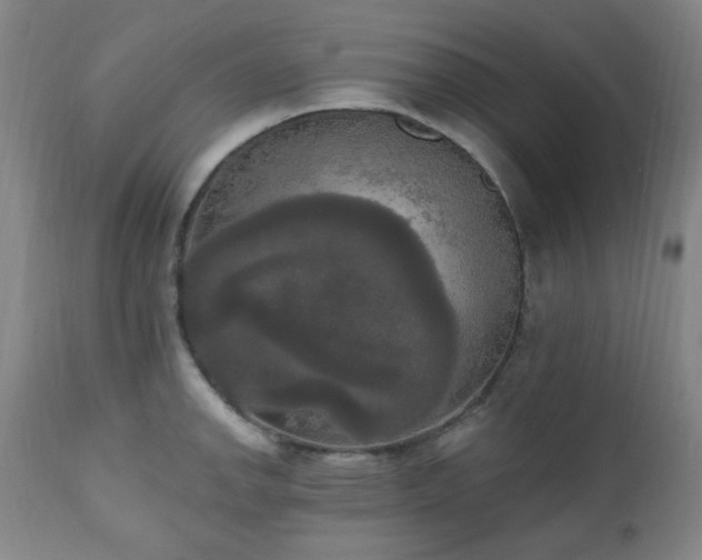 X0000111021142200906191646