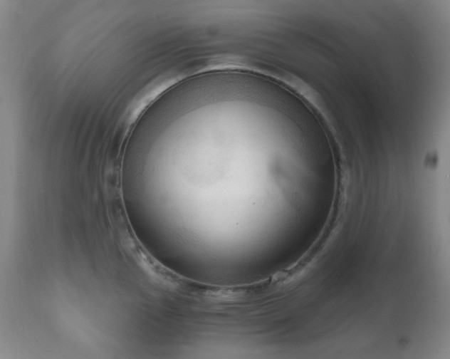 X0000111021145200906191646