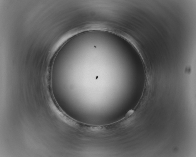 X0000111021147200906191646