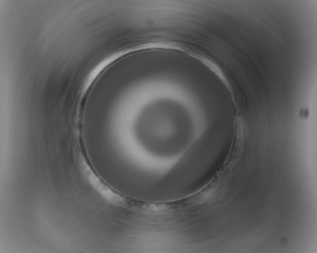X0000111021148200906191646