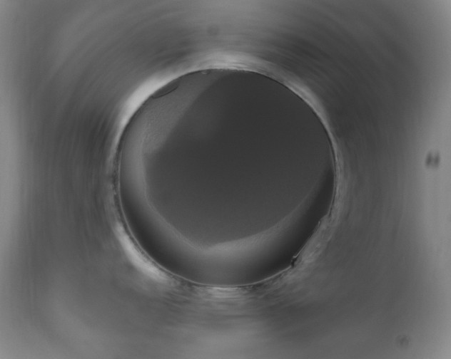 X0000111021152200906191646