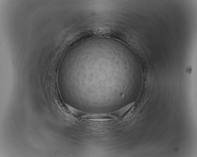 X0000111021153200906191645