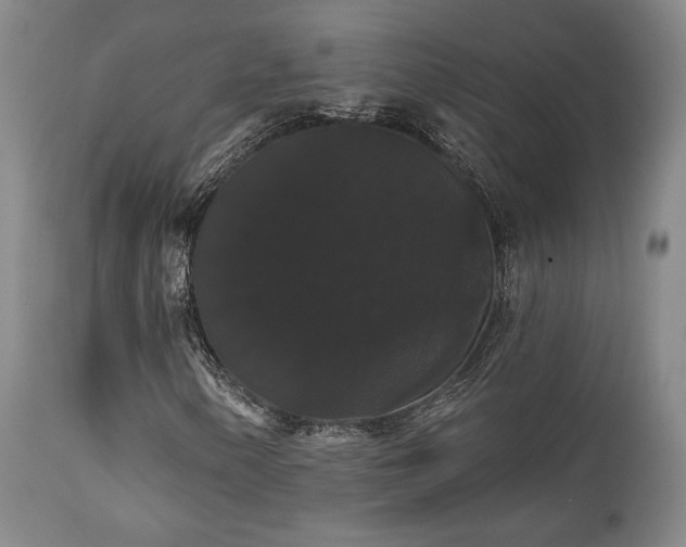 X0000111021154200906191645