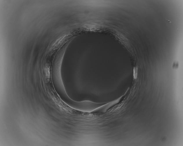 X0000111021155200906191645
