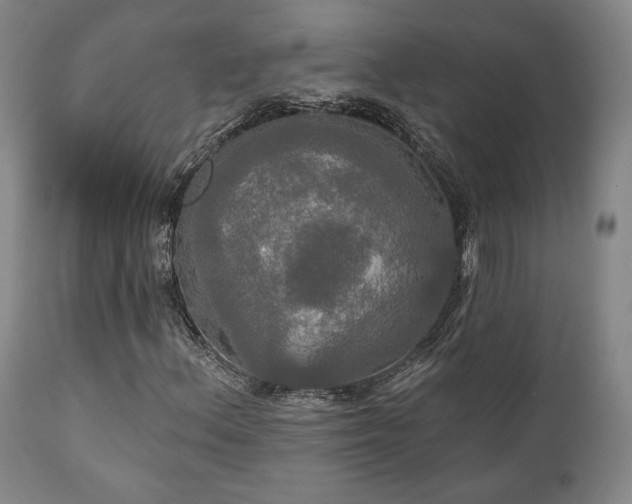 X0000111021156200906191645