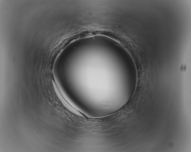 X0000111021157200906191645