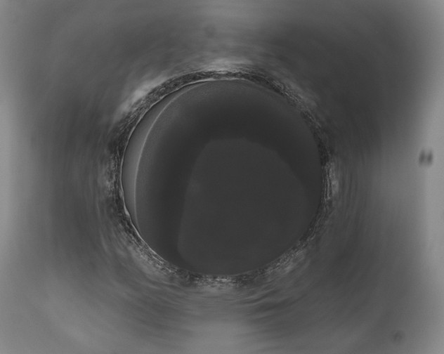 X0000111021158200906191645