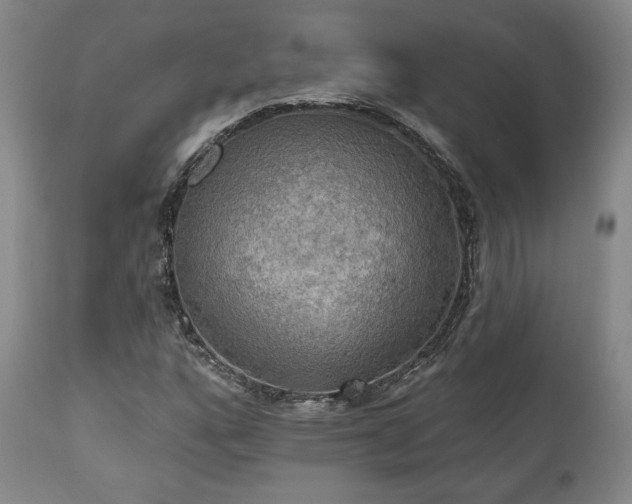 X0000111021160200906191645